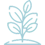 Simple blue line drawing of a young plant with five leaves growing from the ground on a light background.