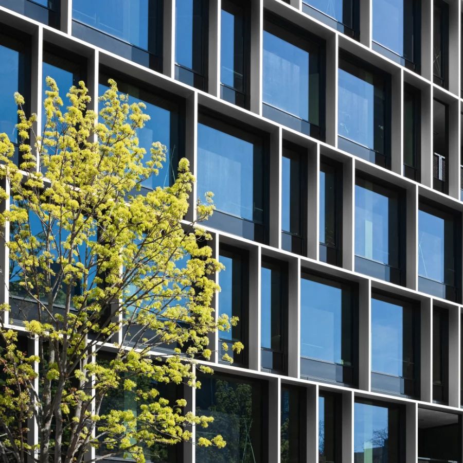 A tree with bright green leaves stands in front of a modern office building featuring a grid-patterned glass facade.